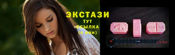 стаф Анжеро-Судженск