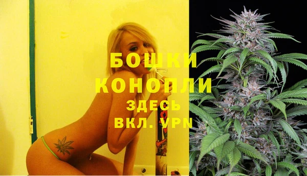 стаф Анжеро-Судженск