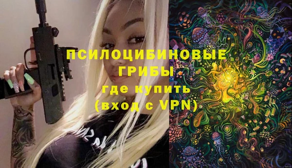 стаф Анжеро-Судженск