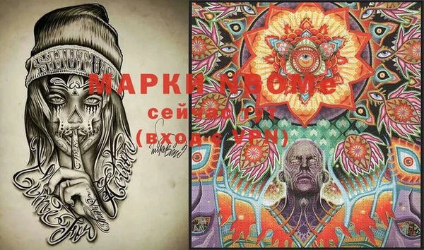стаф Анжеро-Судженск
